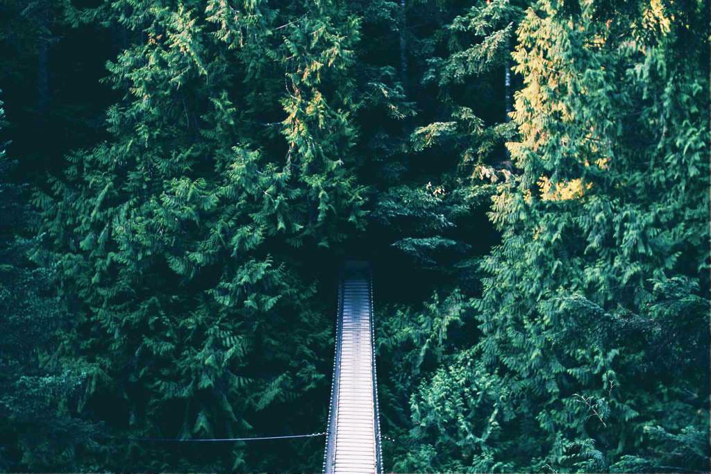 Embrace Failure: The Stepping Stones to Success